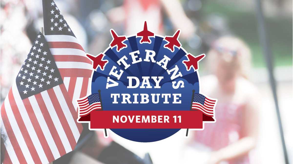 Veterans Day Tribute November 11