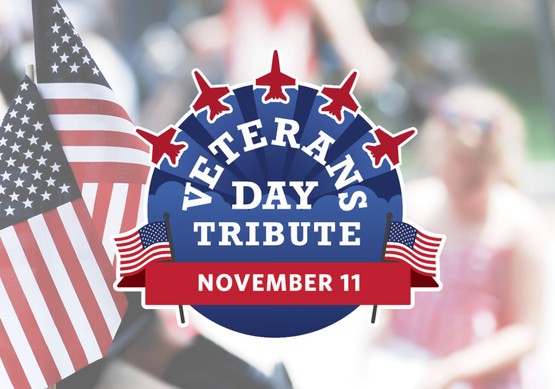 Veterans Day Tribute November 11